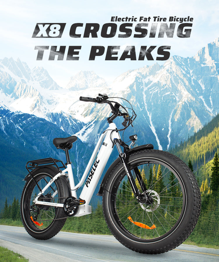 Bafang 750W bürstenloser Motor, modisches Elektrofahrrad