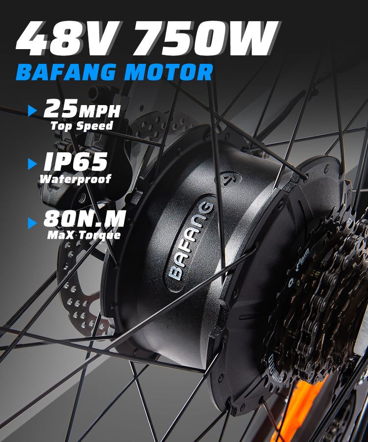 Bafang 750W bürstenloser Motor, modisches Elektrofahrrad
