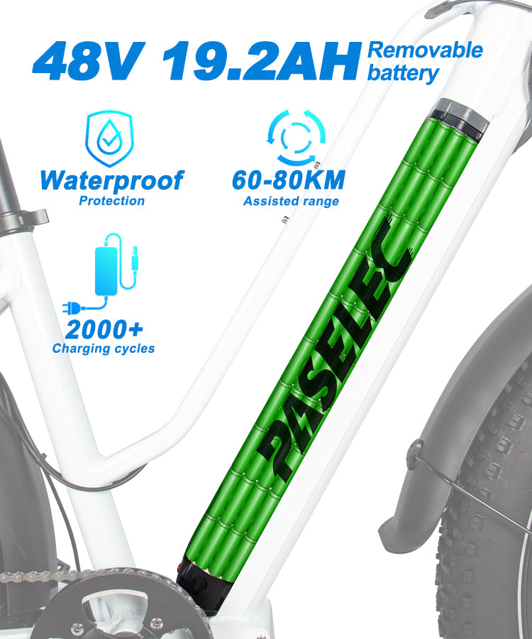 Bafang 750W bürstenloser Motor, modisches Elektrofahrrad