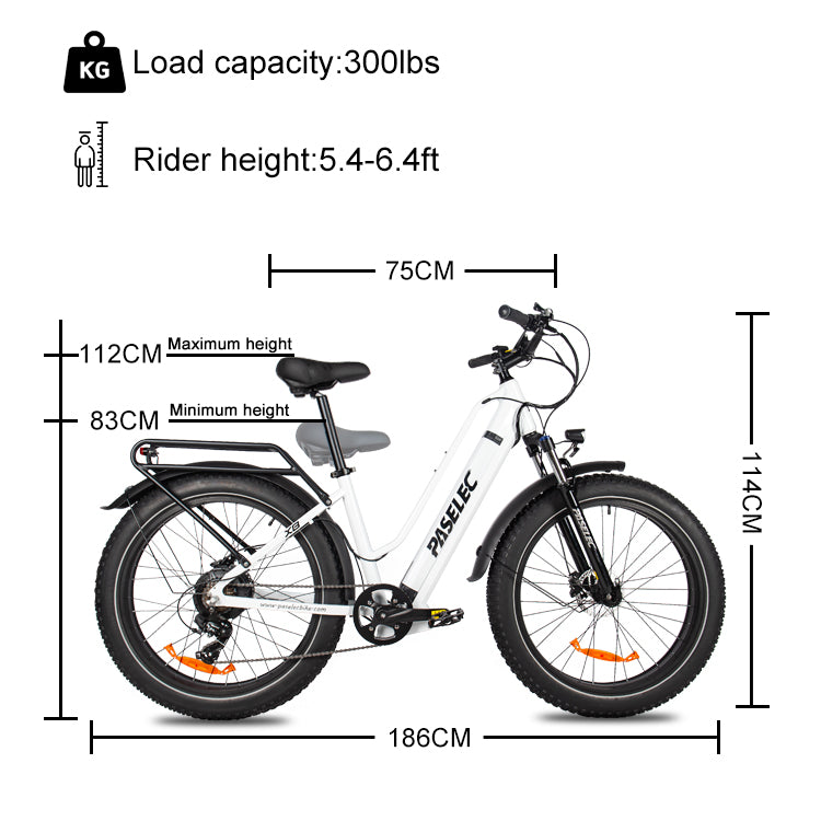 Bafang 750W bürstenloser Motor, modisches Elektrofahrrad