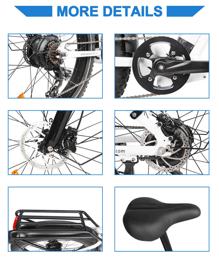 Bafang 750W bürstenloser Motor, modisches Elektrofahrrad