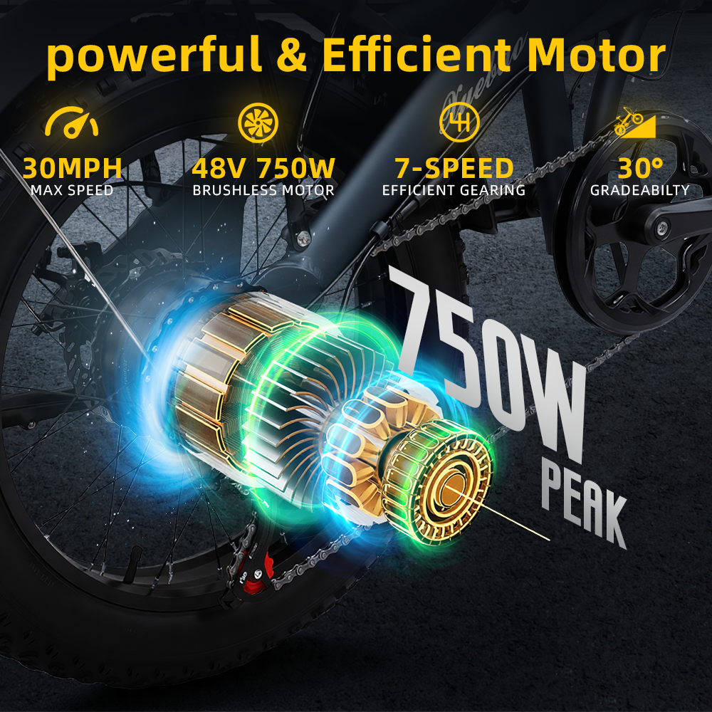 Xuebao US Warehouse Peak750W Foldable Electric Bike