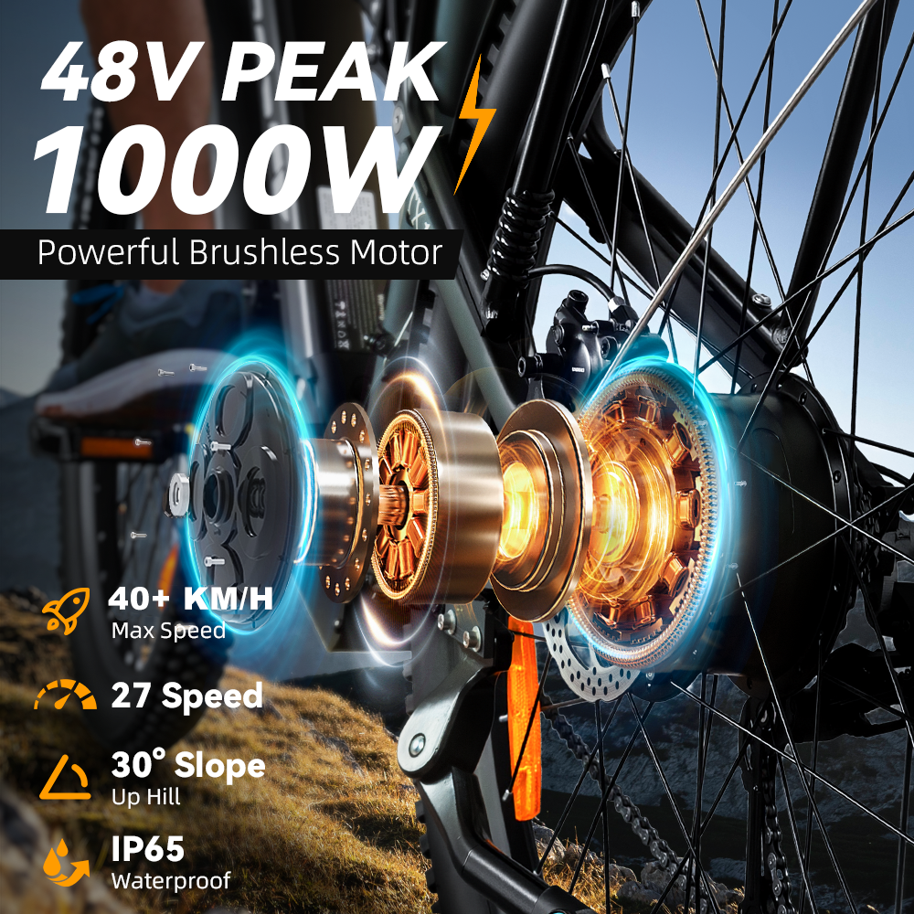 TX19-Mountain electric bicycle with 1000W rear motor and cargo rack