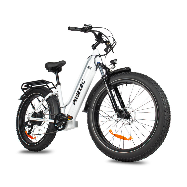 Bafang 750W Brushless Motor Fashionable Electric Bicycle