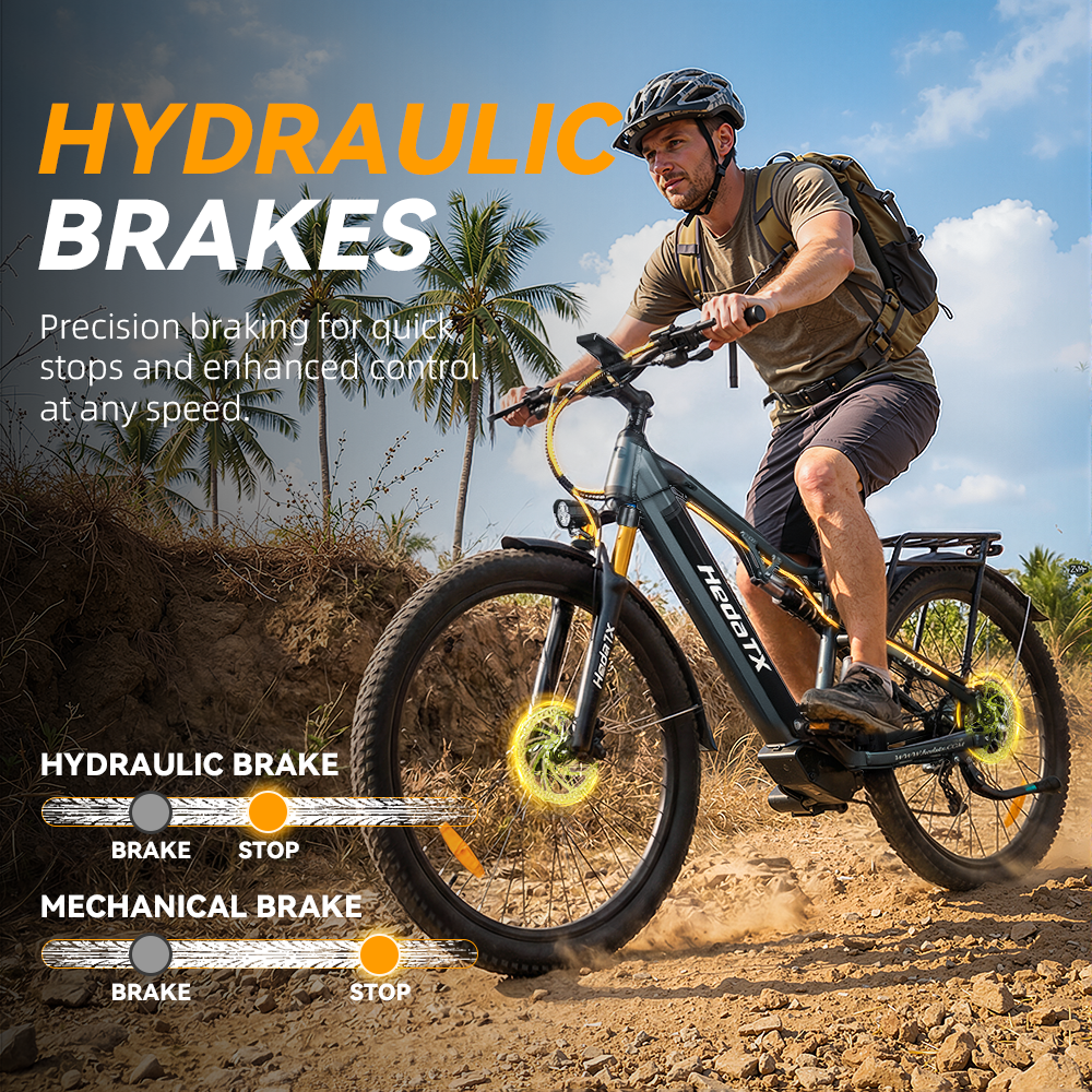 TX19-Mountain electric bicycle with 1000W rear motor and cargo rack