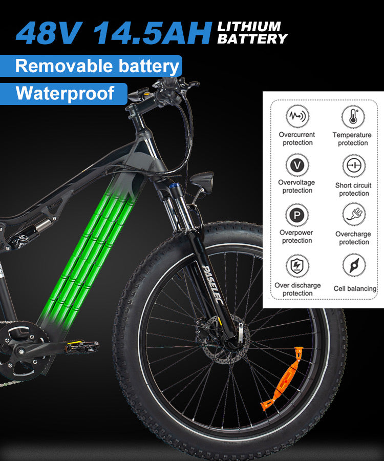 fat tire high quality mountain electric bike