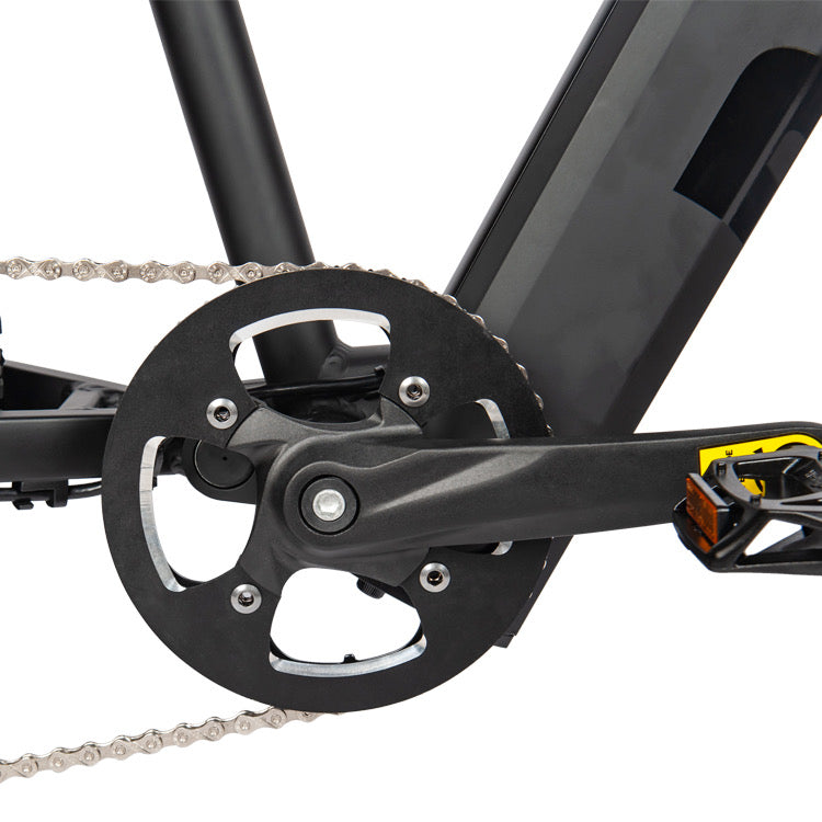 Heda GS9 Electric Mountain Bike