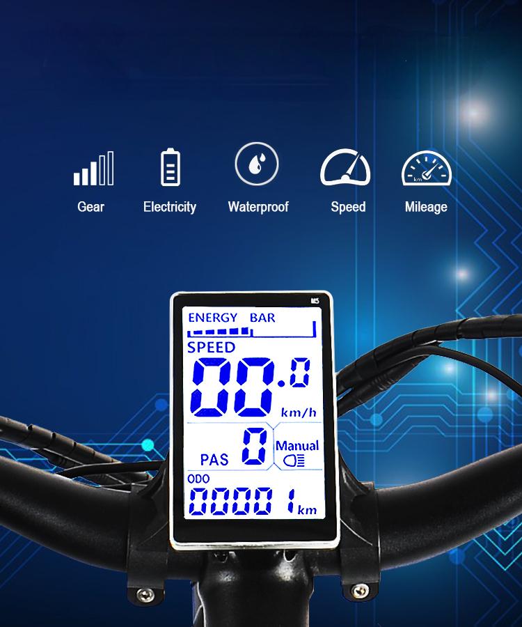 Display（black and white）