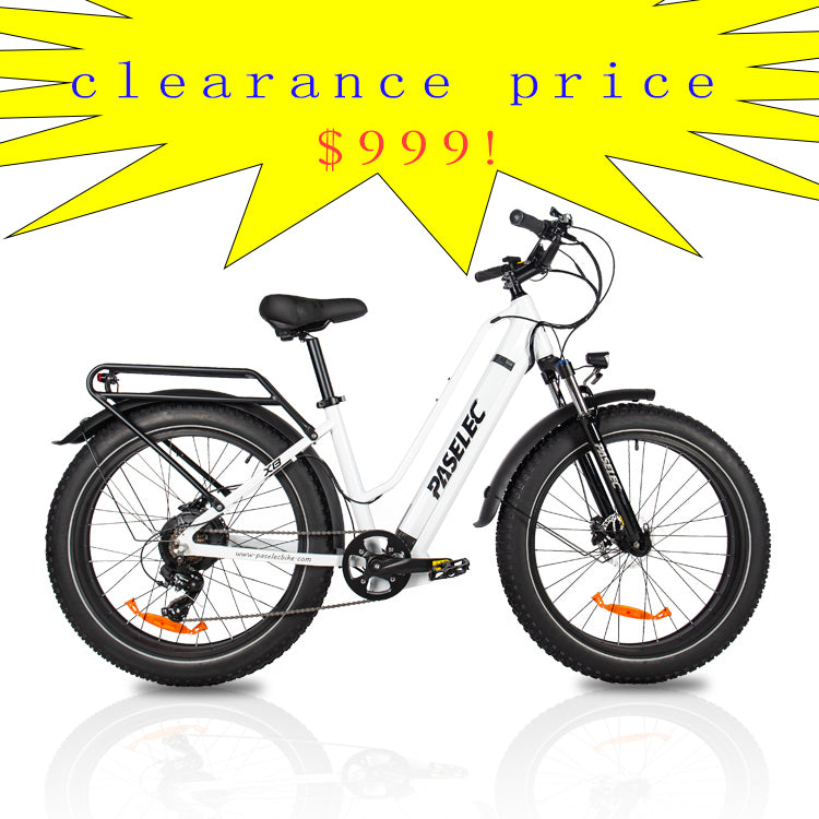 Bafang 750W Brushless Motor Fashionable Electric Bicycle