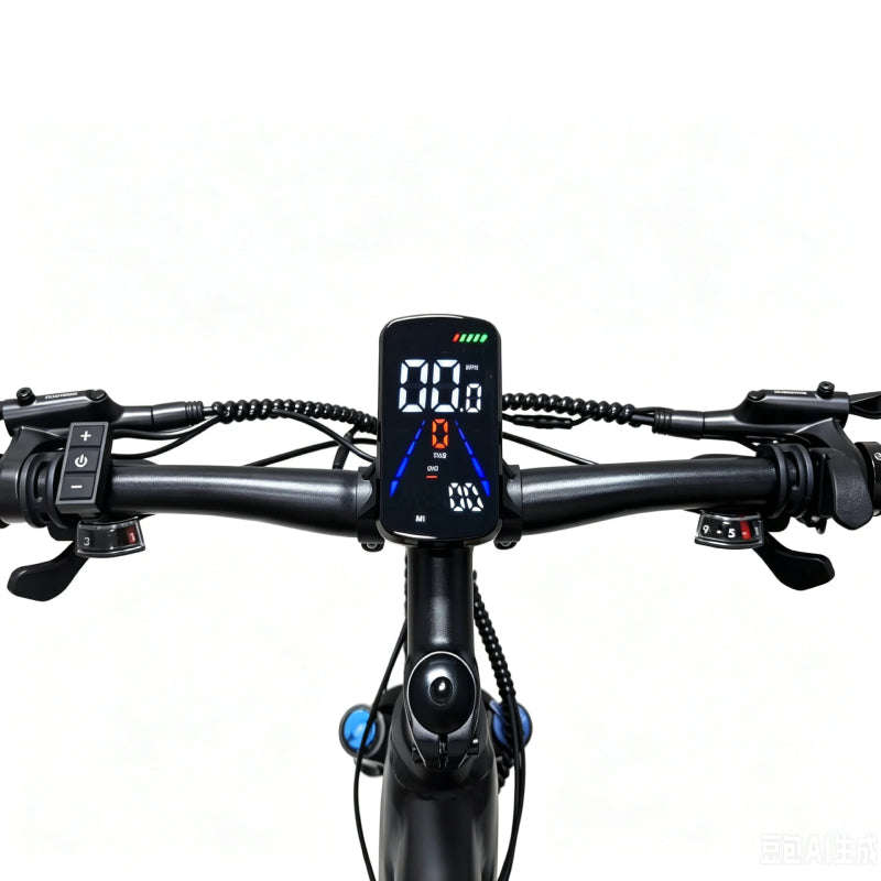 TX29 LCD Display